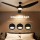 Devanti 64 Inch Ceiling Fan DC Motor with Built in LED Light Remote 5 Speeds Reverse Cycle Black 64in