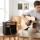 Alpha 20W Guitar Amplifier Portable Practice Amp with Overdrive 3-Band EQ Headphone Jack Black 20 Watts