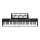 Alpha 61-Key Foldable Electronic Piano Keyboard, Touch-Sensitive, Black, Bluetooth, MIDI-USB, w/ Mic & Sustain Pedal