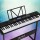 Alpha 61-Key Electronic Piano Keyboard, Touch-Sensitive, Black, with Stand, 300 Rhythms, 430 Timbres, LED Display