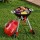Keezi Kids Pretend BBQ Play set with Simulated Charcoal Lights Play Food Wheels Multicolour Role Play Toy