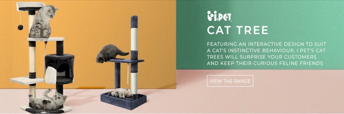 Cat Scratching Posts