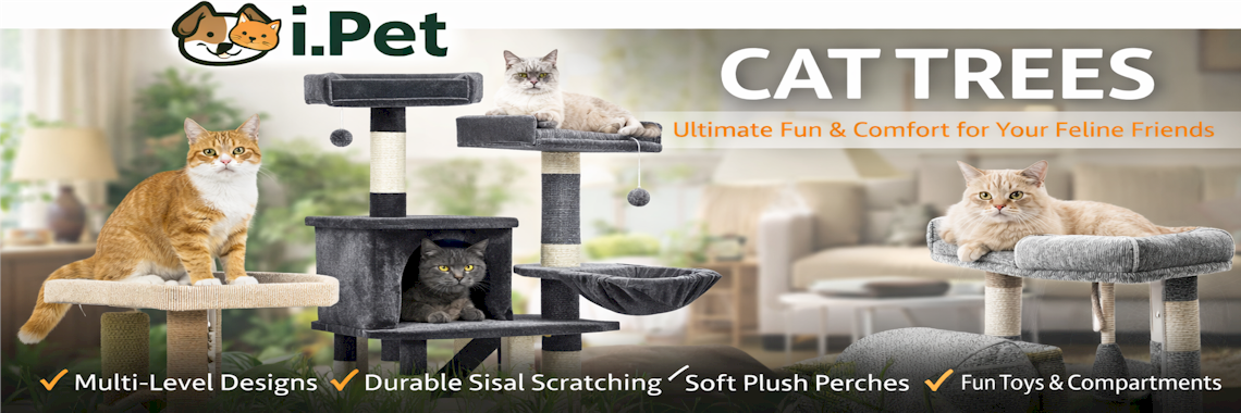 Cat Scratching Posts
