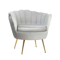 Artiss Armchair Velvet Fabric Grey 71x71x68cm - Iconic Shell Back Design, High Resilience Foam, Gold Legs
