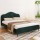Artiss OLAN Queen Bed Frame, Velvet Upholstered, Dark Green, Solid Wood, Metal Legs, Plush Headboard, 300KG Capacity
