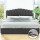 Artiss FION King Size Bed Frame Velvet Grey Upholstered with Gas Lift Storage, Padded Headboard, Wooden Slats