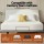 Artiss King Adjustable Electric Bed Frame Wireless Remote Zero Gravity Head and Foot Lift 420kg Capacity