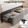 Artiss Queen Velvet Upholstered Metal Bed Frame with LED Lighting USB Type‑C Charging and 2 Drawers Black