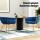 Artiss Set of 2 Velvet Dining Chairs, Hand-Woven Backrest, Armrest, Solid Steel Legs, Blue, 60x50x69cm