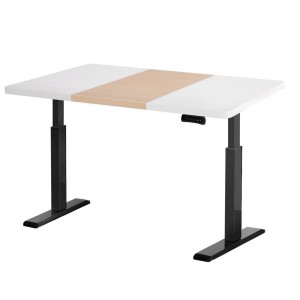 Artiss Motorised Dual Motor Standing Desk - Height Adjustable, 120cm Frame, Memory Settings, Eco-Friendly