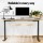 Artiss Standing Desk Motorised Electric Dual Motor 120cm White Oak Adjustable Height Sit Stand Desk Frame