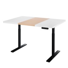 Artiss Motorised Dual Motor Standing Desk, 120cm, Adjustable Height, Sturdy Metal Frame, Memory Settings, Black