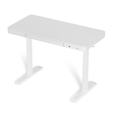 Artiss 120CM Electric Standing Desk, White - Motorised, Height Adjustable, USB Ports, Drawer, Digital Control