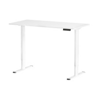 Artiss 120CM Electric Standing Desk - Dual-Motor, Adjustable Height, Quiet Operation, Ideal for Home & Office