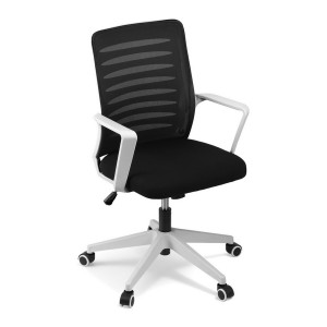 Artiss Ergonomic Mesh Office Chair - Black/White, Lumbar Support, 10cm Height Adjustable, 360° Swivel, Easy Assembly