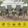 Gardeon 6PC Grey Outdoor Stackable Dining Chairs, Steel Frame & Textilene Fabric, Weather-Resistant, 150kg Capacity