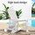 Gardeon White HDPE Adirondack Outdoor Chair 103° Recline, Cup Holder, 170kg Capacity, Weather-Resistant, 80x90x94cm