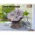 Gardeon Papasan Outdoor Chair - Brown PE Wicker, 360° Rotatable, UV-Resistant, 10cm Cushion, Steel Frame, 150kg Capacity
