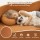 Artiss 2-in-1 Folding Sofa Bed Convertible Futon Love seat Orange Premium Corduroy High-Density Foam Support