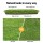 Primeturf 20mm Artificial Grass - 1x10m Roll, Realistic 4-Tone Synthetic Lawn, Durable UV-Stable PE Material