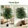 Artiss 180cm Artificial Ficus Tree Lifelike Faux Indoor Plant with UV Resistant Leaves and Weighted Cement Pot