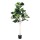 Artiss 180cm Artificial Fiddle Tree 1.8m UV Resistant Lifelike Faux Plant with Weighted Pot Indoor Décor