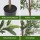 Artiss 210cm Artificial Olive Tree Faux Indoor Plant UV Resistant Flexible Branches Weighted Pot 2.1M