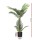Artiss 100cm Artificial Palm Tree - Lifelike UV-Resistant Indoor Decor with Flexible Branches & Stable Cement Base