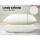 Giselle Bedding 19cm Thick Memory Foam Pillows Twin Pack - High Density, Breathable, Contoured Support, 70x40cm