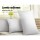 Giselle Bedding Duck Feather and Down Pillow Twin Pack 1kg Filling 100% Cotton Hypoallergenic 73x48cm White