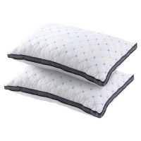 Giselle 2pcs Microfibre Pillows - 1kg Filling, Soft Cover, Allergen-Free, 70x45cm, Ideal for All Sleep Positions