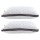 Giselle 2pcs Microfibre Pillows - 1kg Filling, Soft Cover, Allergen-Free, 70x45cm, Ideal for All Sleep Positions