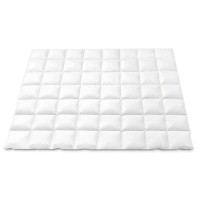 Giselle Bedding 800GSM Double Goose Down Feather Quilt - Winter Comforter with 100% Cotton Cover, Mite Resistant