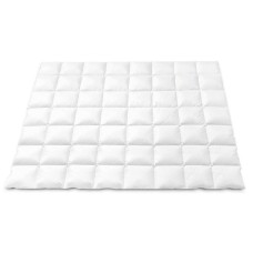 Giselle Bedding 800GSM Double Goose Down Feather Quilt - Winter Comforter with 100% Cotton Cover, Mite Resistant