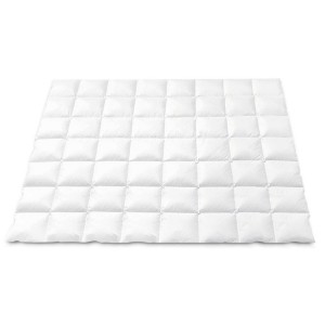 Giselle Bedding 800GSM Double Goose Down Feather Quilt - Winter Comforter with 100% Cotton Cover, Mite Resistant