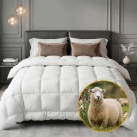 Giselle Bedding 800GSM Wool Quilt Double Extra Thick Winter Doona 100% Wool Filling Baffle Box Construction