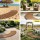 Gardeon 8FT Fir Wood Garden Pathway Roll Up Curved Walkway 240cm Anti Slip Brown Outdoor 8FT Pathway