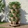 Green Fingers 5-Tier Stackable Vertical Garden Bed – Tan, 35x35x75cm, Movable Casters, Auto Drainage, Indoor/Outdoor