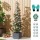 Green Fingers Self Watering Planter with Trellis Adjustable 4 Layer 140cm Modular Tomato Tower Grey 1 Pack