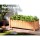 Greenfingers Wooden Raised Garden Bed 90x30x33cm - Eco-Friendly Fir Wood Planter Box for Vegetables & Flowers