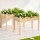 Green Fingers 2x Raised Garden Bed 120x60x80cm - Sturdy Fir Wood, Elevated Planter Box for Vegetables & Flowers