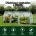 Green Fingers Mini Greenhouse 240x90x90cm - Sturdy Steel Frame & Weather-Resistant PE Cover for Year-Round Plant Growth