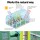 Greenfingers 6x4x2M Walk-in Greenhouse Tunnel | Durable PVC, Steel Frame | All-Weather, Pest-Proof Garden Dome