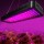 Greenfingers 2X 2000W Full Spectrum LED Grow Lights for Indoor Plants, All Stages, High PAR, Energy Efficient