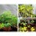 Greenfingers 60x60x90CM Hydroponics Grow Tent Kit - Durable 600D Oxford, Aluminium Lining, Easy Setup, Indoor Plant Room