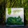 Purr Haven Bamboo Clumping Cat Litter 7.5kg Pack of 3 Natural Plant Based Dust Free Flushable Odour Neutraliser