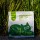 Purr Haven Plant Based Clumping Tapioca Cat Litter with Seaweed Extract 30kg 12 Pack Dust Free Odour Control