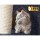 i.Pet 244cm Cat Tree Tower - Grey Condo with Sisal Scratching Posts, Plush Velvet, Multi-Level Play Areas, and Hammocks