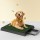 i.Pet Training Pad with Tray - Large 3-Layer Odourless Grass Mat for Dogs, 64x52cm, Indoor/Outdoor Use, Easy Clean