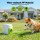 i.Pet 2-in-1 Dog Ball Launcher and Treat Dispenser with 2 Tennis Balls Manual Spring Lightweight Durable